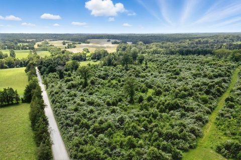 Aerial view of a rural road running past farmland near Elkwood, Culpeper County, Virginia