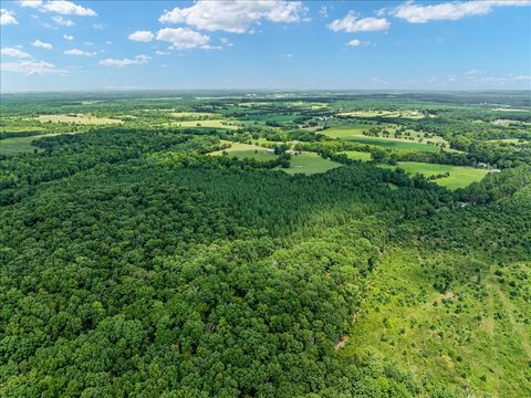 Aerial view of a wooded timber tract and farmland near Elkwood, Culpeper County, Virginia