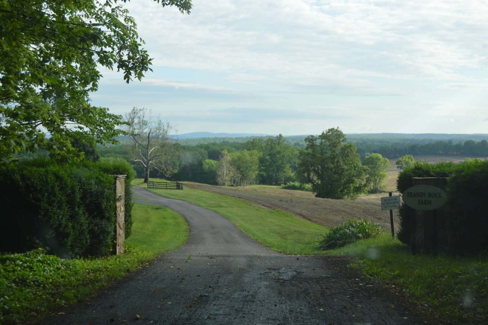 Gravel farm lane leading out to open fields on Farley Road, Culpeper County, Virginia