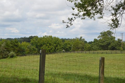 Wire fence along green pasture and tree line at Maple Springs, Culpeper County, Virginia
