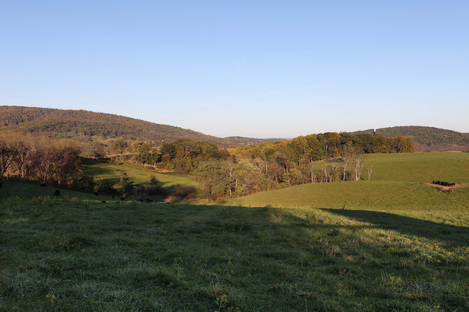 Rolling pasture toward Ashby Gap and Lost Mountain, Sky Meadows State Park, Virginia