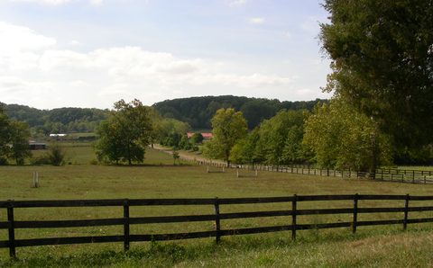 Rail fencing dividing gently rolling pastures in Loudoun County, Virginia, south of Leesburg