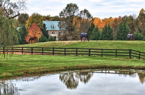 Horses on a fenced pasture above a farm pond in Middleburg, Virginia, in autumn