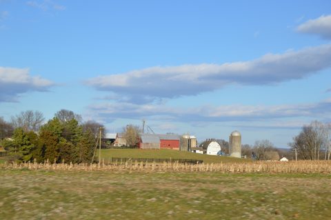 Open farm fields and tree lines at Hampstead Farm near Somerset in Orange County, Virginia