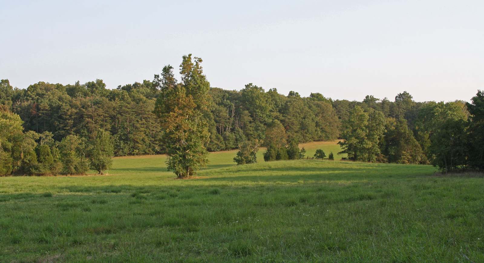 Open meadow running to a wooded tree line at Manassas National Battlefield Park, Virginia